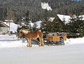 Teichalm Februar 2005